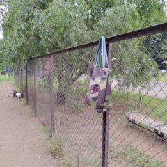 ワンコお散歩　おすすめ公園3