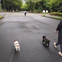 ワンコ散歩  おすすめ公園5
