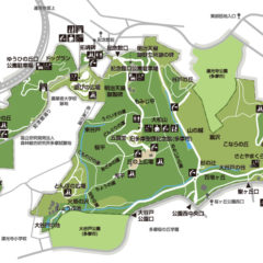 ワンコ散歩　おすすめ公園7