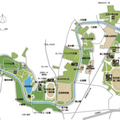 ワンコ散歩　おすすめ公園9