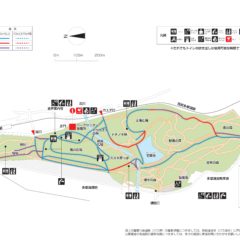 ワンコ散歩　おすすめ公園8