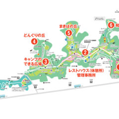 ワンコ　　おすすめ公園11