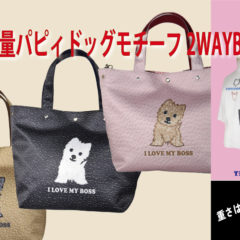 CAMPFIREプロジェクト始まりました