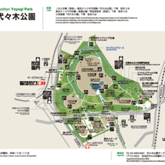 「東京都内で愛犬と楽しむ！お散歩に最適なおすすめ公園ベスト4」